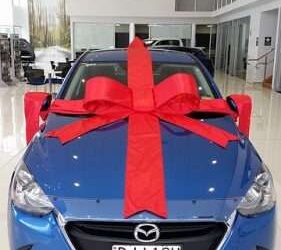 Car Purchasing